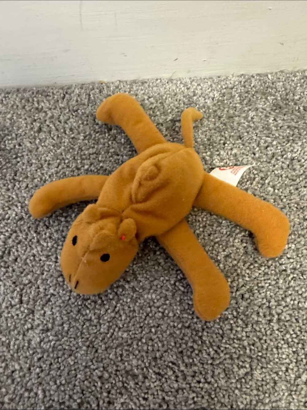 Ty Humphrey the camel Stuffed Toy - Brown